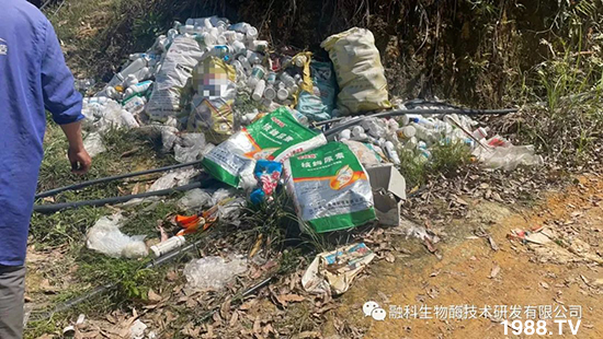 走進田間地頭，助力柑橘產(chǎn)業(yè)