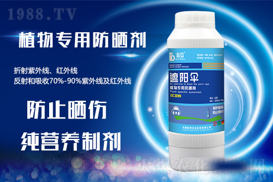 �ߜ������u������������E�[���쿴�������ˆ�? 