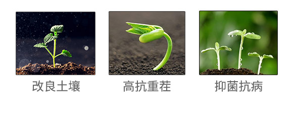 �ﲩʿ���F���޹�˾��873702��_04