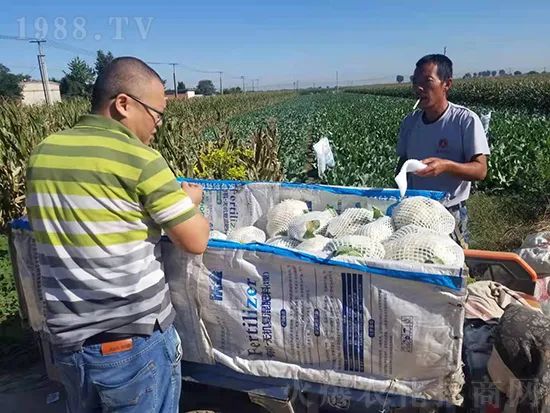     這款糖蜜肥農(nóng)資圈瘋傳！原料天然，低成本高肥效開(kāi)創(chuàng)者！