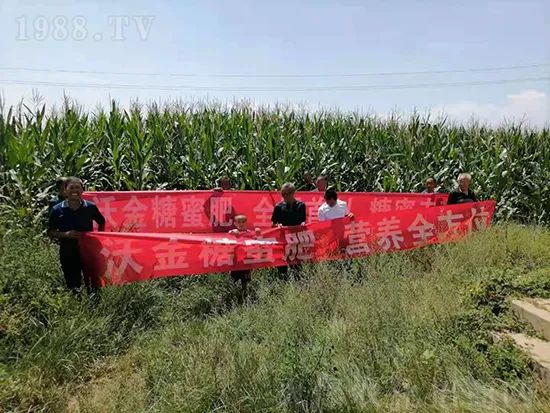     這款糖蜜肥農(nóng)資圈瘋傳！原料天然，低成本高肥效開(kāi)創(chuàng)者！