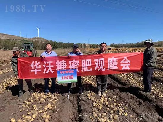     這款糖蜜肥農(nóng)資圈瘋傳！原料天然，低成本高肥效開(kāi)創(chuàng)者！