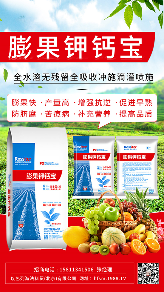 柑橘進(jìn)入膨大期，如何提升“顏值”？這個(gè)方案值得擁有！