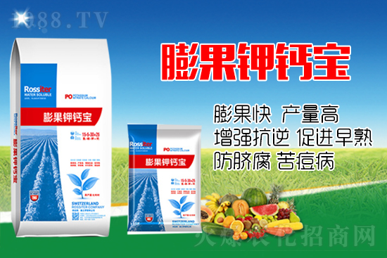 柑橘進(jìn)入膨大期，如何提升“顏值”？這個(gè)方案值得擁有！