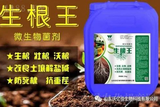 作物重茬、爛根死棵嚴(yán)重啥原因？如何改善這些難題？