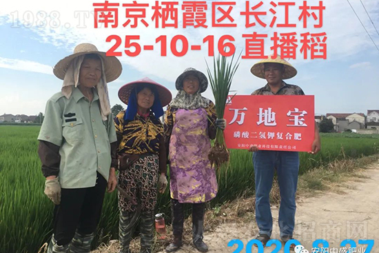 ˮ�����Y���Ì��a(ch��n)���ж��Ӱ푣����M(j��n)ˮ�����Y��ô����