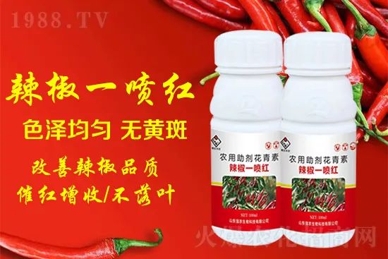 辣椒催紅增收專利產(chǎn)品！自然增紅零激素，色澤勻無(wú)黃斑