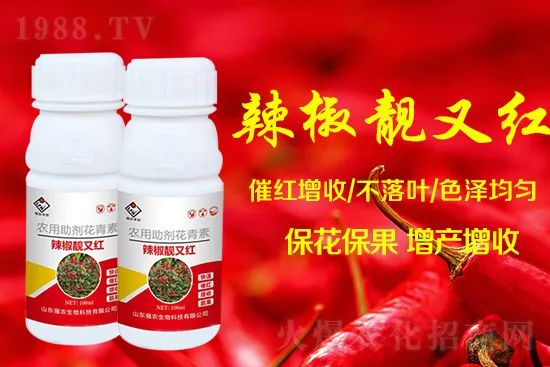 辣椒催紅增收專利產(chǎn)品！自然增紅零激素，色澤勻無(wú)黃斑
