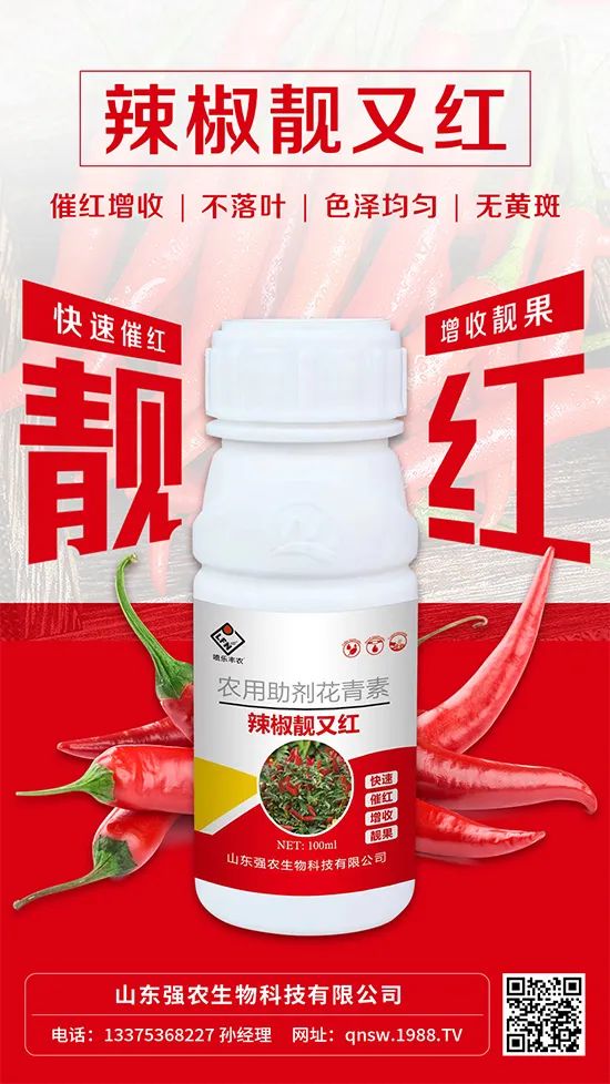 辣椒催紅增收專利產(chǎn)品！自然增紅零激素，色澤勻無(wú)黃斑