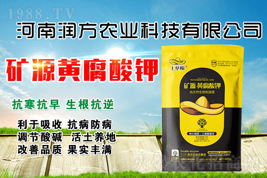 礦源黃腐酸鉀為什么牛？怎么用才能效果翻倍？