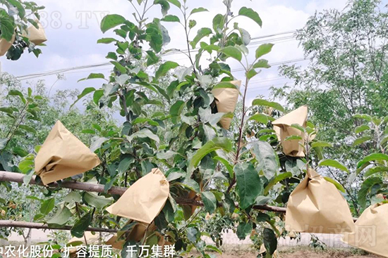     �����״���ɜp���rˎ���������ƹ��ӵ����^Ʒ�|���ɴ����߹�Ʒ�u���������׳��۲��u���߃r�����Թ����״�Ŀǰ��Ȼ���҇����@����Ҫ�����������״��O��������Ǻã�Ҳ�ٲ�����