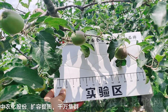     �����״���ɜp���rˎ���������ƹ��ӵ����^Ʒ�|���ɴ����߹�Ʒ�u�࣬�����׳��۲��u���߃r�����Թ����״�Ŀǰ��Ȼ���҇����@����Ҫ�����������״��O��������Ǻã�Ҳ�ٲ�����