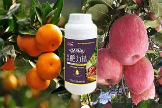 ����׷�ʏ�(f��)�Ϸʺ�߀�����غ����ܶ��˶��e�ˣ����������_�x��