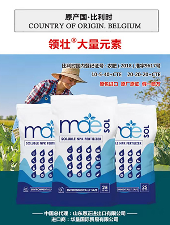 交500頂2000，高端進(jìn)口肥“性價(jià)比霸主”