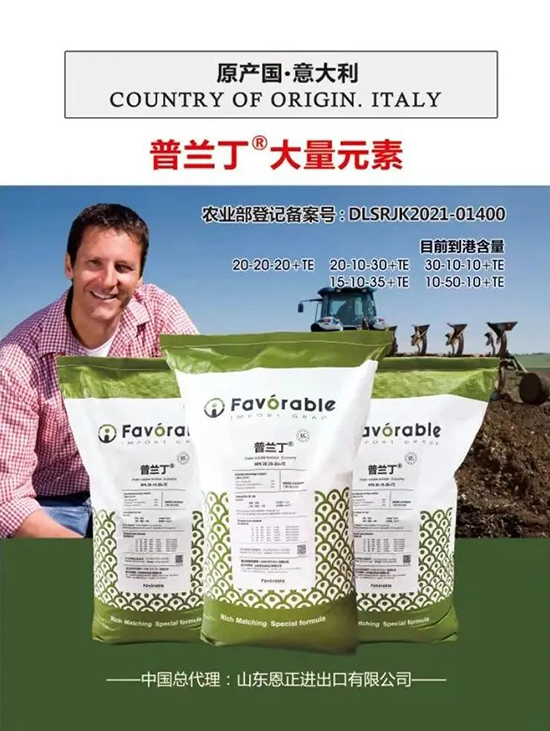 交500頂2000，高端進(jìn)口肥“性價(jià)比霸主”