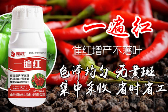 辣椒為什么要增紅？辣椒增紅上色哪個(gè)牌子好？