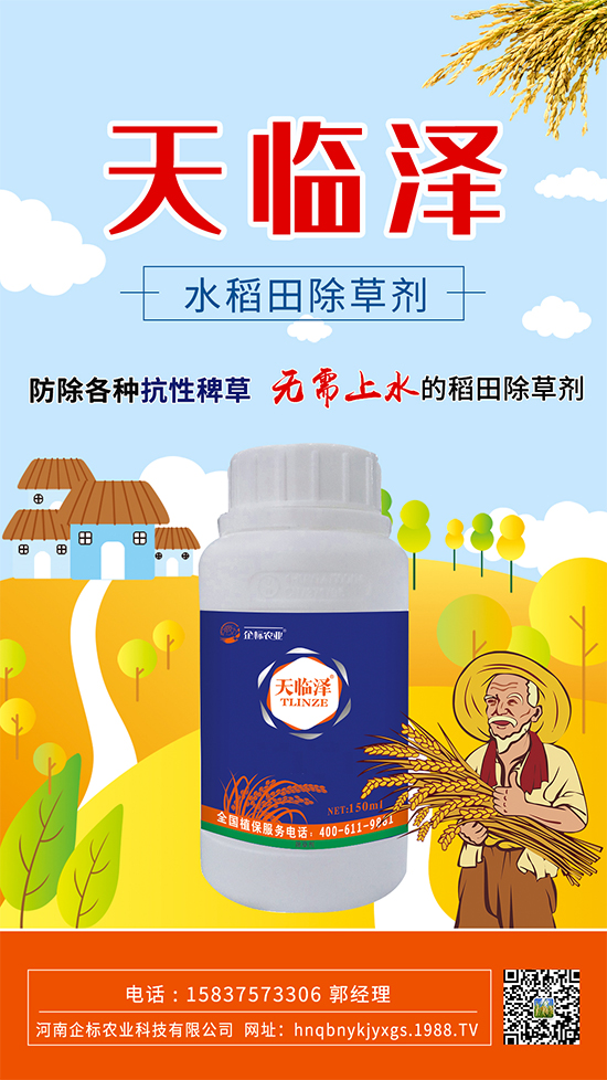 水稻田抗性稗草怎么防除？稻田青稗怎么用藥？