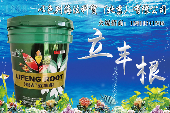 海藻肥生根效果怎么樣？比傳統(tǒng)肥料好在哪