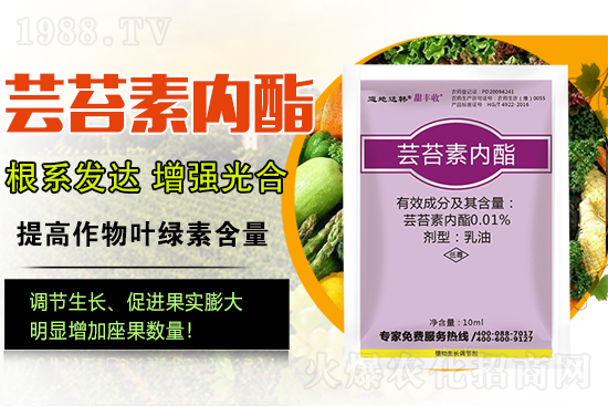 �|̦�؃�(n��i)����ɶ���Q��ֲ�����ˎ���|̦�؃�(n��i)����ô�x��