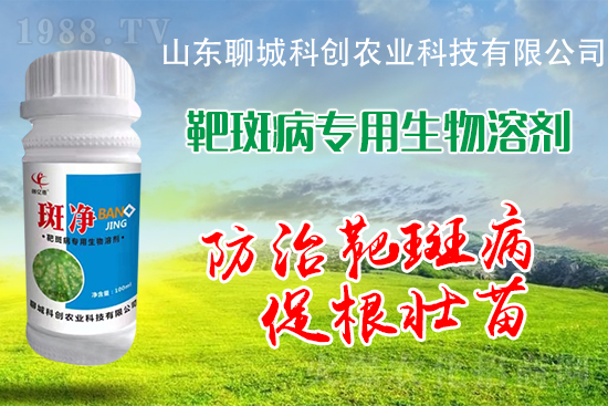 黃瓜靶斑病危害逐年加重！防治措施有哪些？