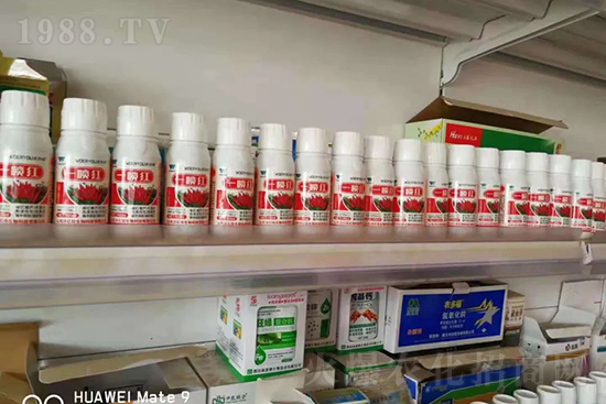 增紅率提高95%！催紅不落葉！收入翻幾番！就用辣椒一噴紅！