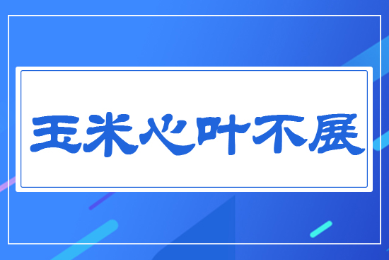 �������~��չ