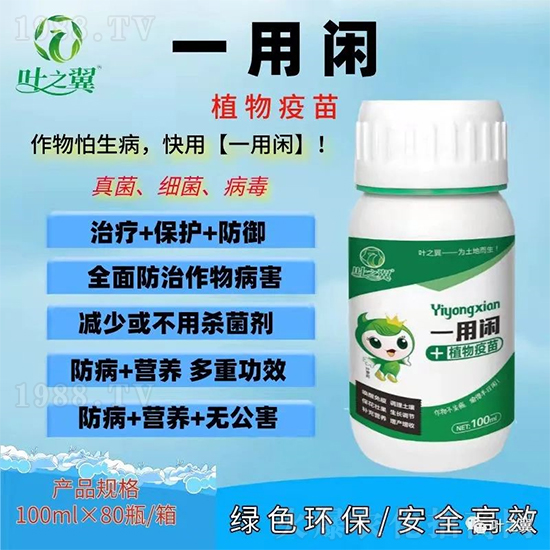 高溫季節(jié)作物缺鈣癥狀防治對策