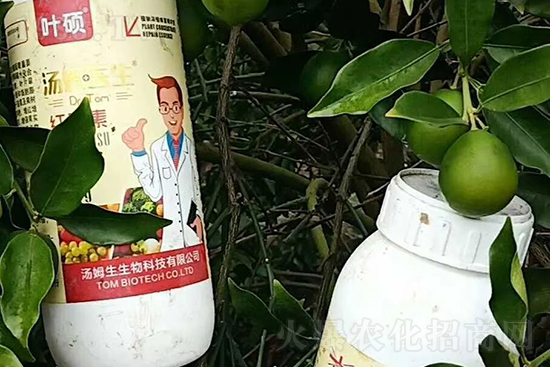 �t���ء�ֻ���Dɫ�������Dɫ���������߼t���ó���