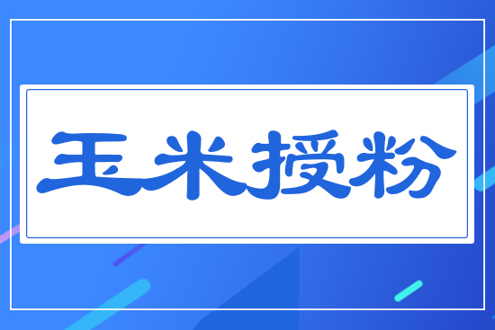 玉米授粉