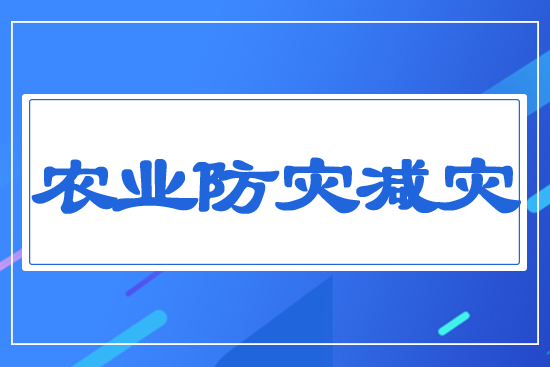 �r(n��ng)�I(y��)����(z��i)�p��(z��i)