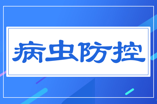 ���x����