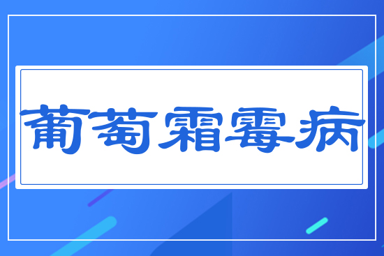 ����˪ù��