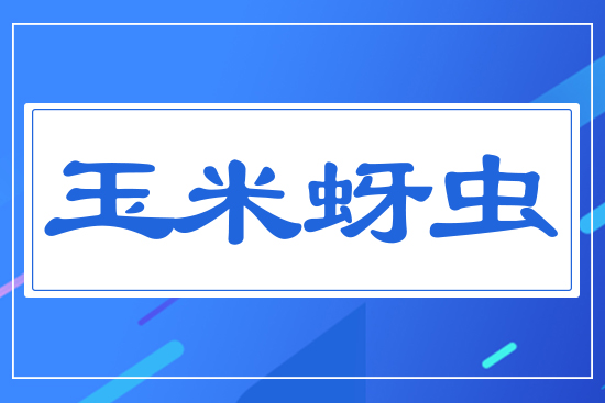 �������x