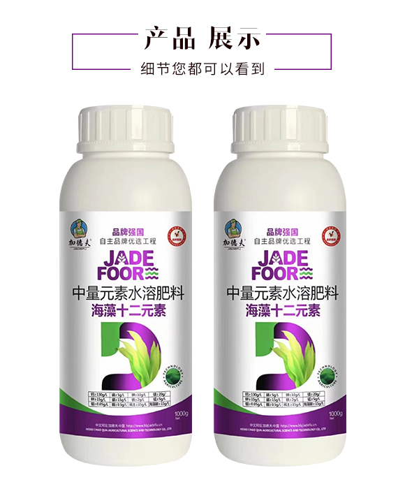 �ӱ���Ⱥ�r(n��ng)�I(y��)�Ƽ����޹�˾2_04