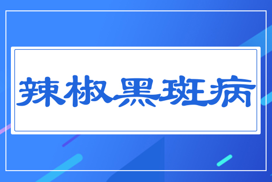 �����ڰ߲�