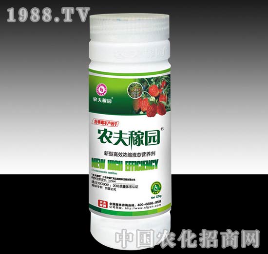 農(nóng)夫稼園_（草莓）