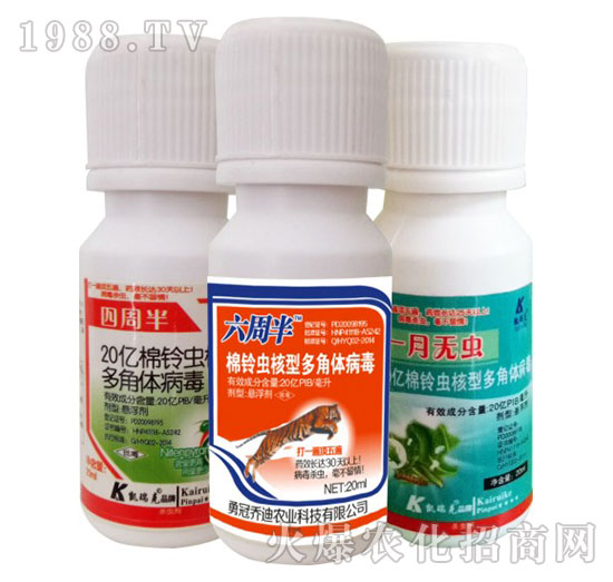 20億棉鈴蟲(chóng)核型多角體病毒-四周半+六周半+一月無(wú)蟲(chóng)-凱瑞克