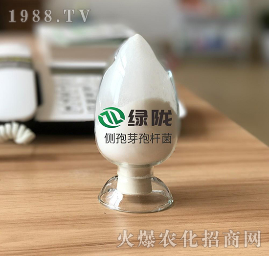 側(cè)孢短芽孢桿菌-綠隴生物