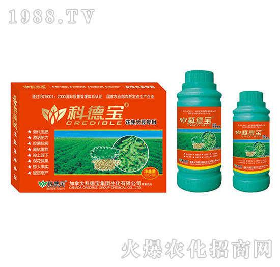 �����󶹌��àI(y��ng)�B(y��ng)���a(ch��n)�{(di��o)�턩-�Ƶ�