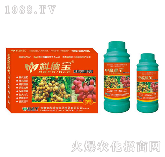 ��֦�����ی��àI�B(y��ng)���a(ch��n)�{(di��o)�턩-�Ƶ�