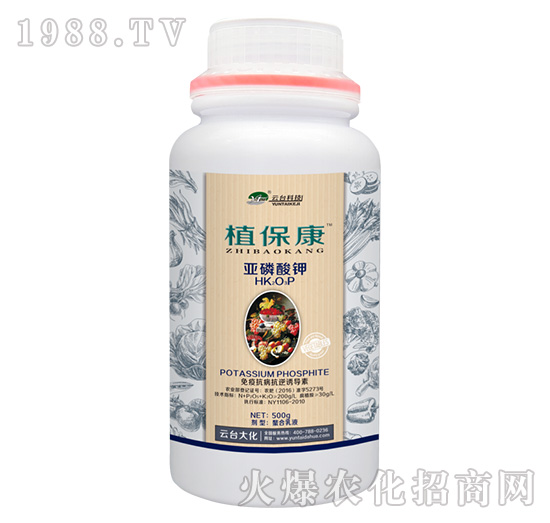 500gֲ����-���_��