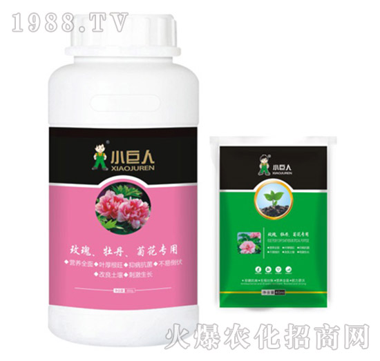 玫瑰、牡丹、菊花專(zhuān)用調(diào)節(jié)劑-小巨人