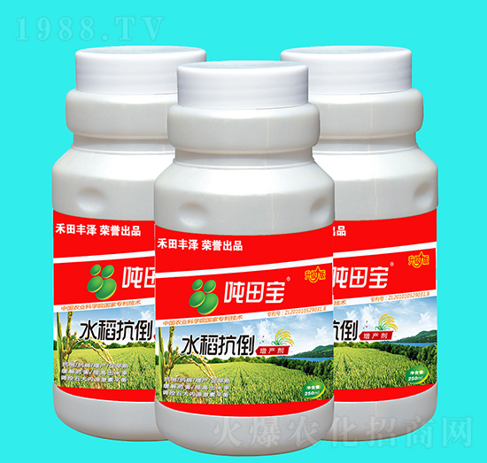 水稻抗倒增產(chǎn)劑-噸田寶-禾田豐澤