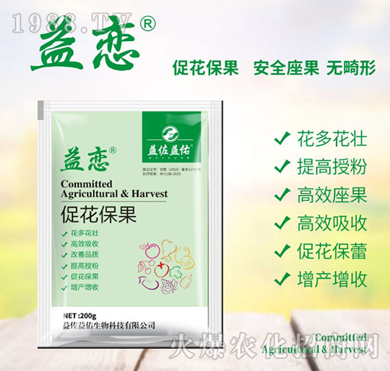 �ٻ��ٹ�-�w��-��������