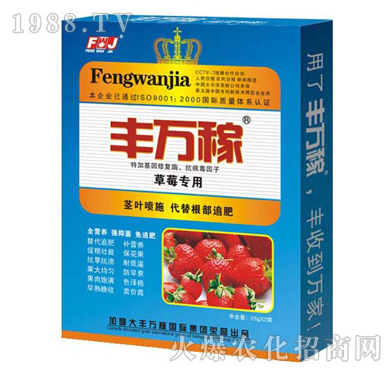 草莓專(zhuān)用肥-長(zhǎng)效抗病膨果增甜調(diào)理劑-豐萬(wàn)稼