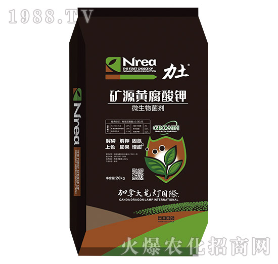 �VԴ�S�����-����-����