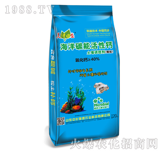 �����{�턩���w����-����̼�ܻ����}-�л���ʢ