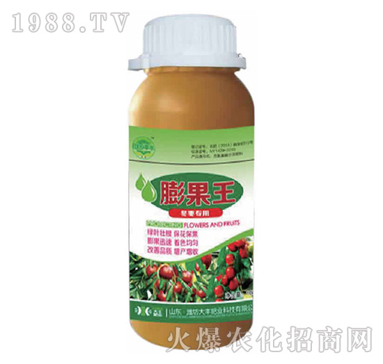 �t����(zhu��n)�������-��@���S-���S�ʘI(y��)