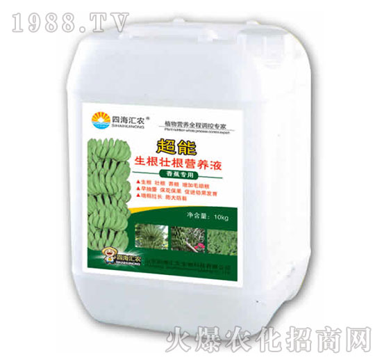 香蕉專用超能生根壯根營養(yǎng)液-田園季豐-大豐肥業(yè)