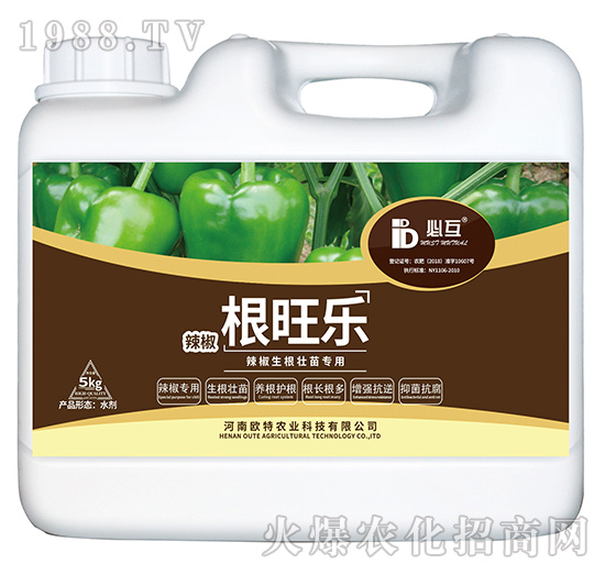 辣椒生根壯苗專用肥-根旺樂(lè)-歐特農(nóng)業(yè)